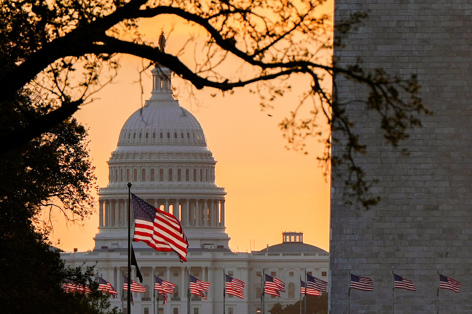 American flags fly in front of the U.S. Capitol at sunrise, Wednesday, Oct. 1, in Washington.